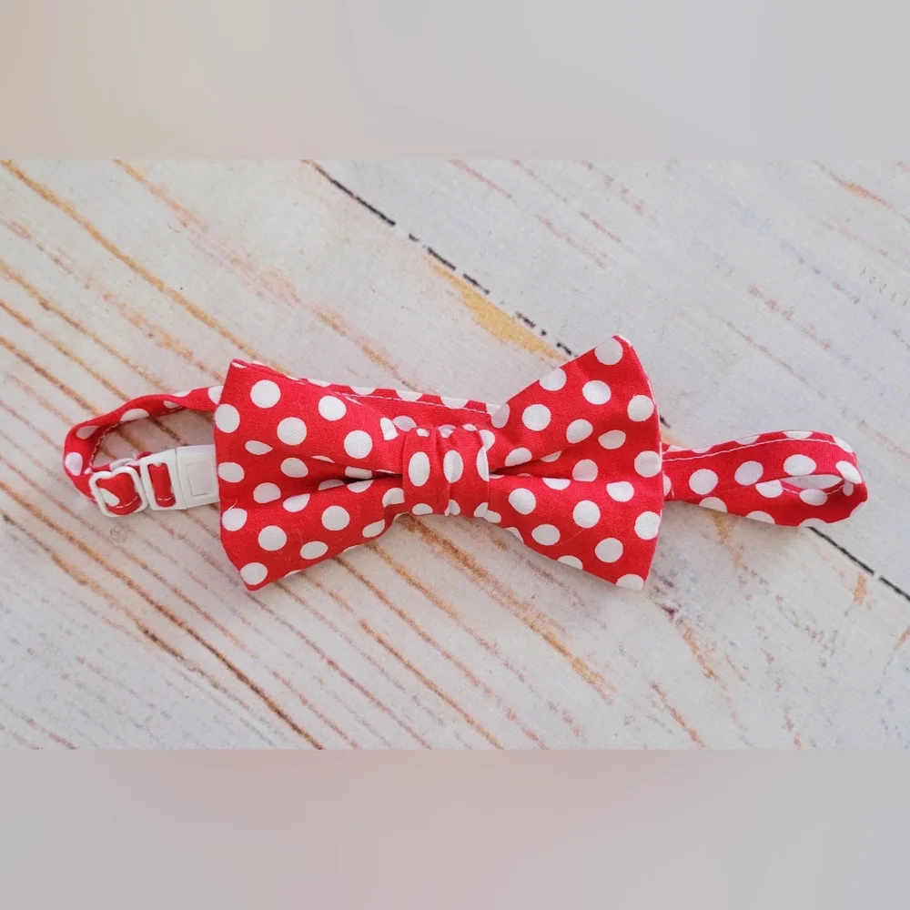 Trendy Ties Red Polka Dot Kids Bow Tie